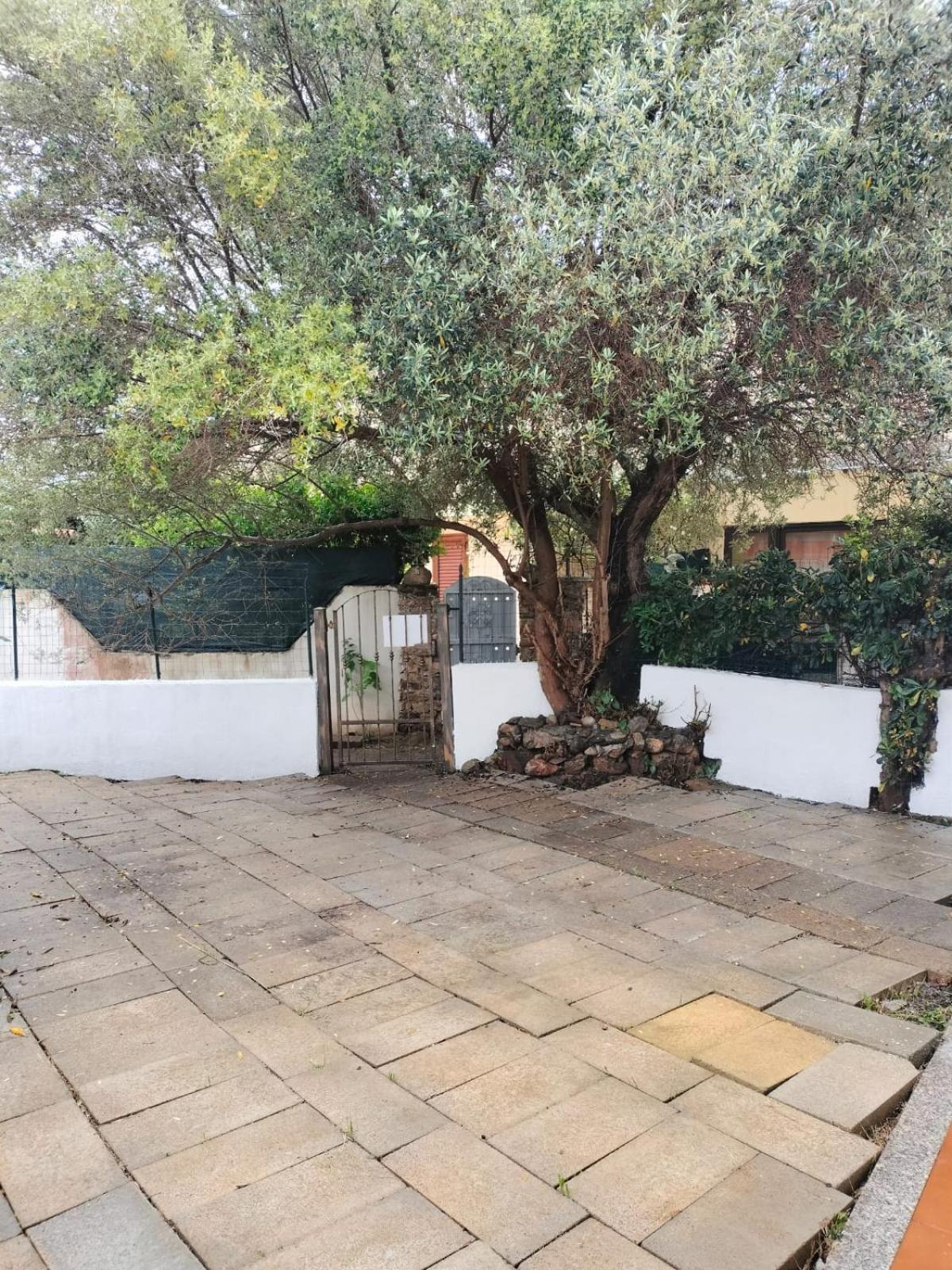 Casa Antony Villa San Teodoro  Eksteriør billede